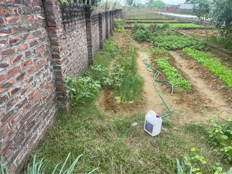 Đất thổ cư đẹp tại Đan Tảo, Sóc Sơn 88m² giá 3.1 tỷ - Mặt tiền kinh doanh lý tưởng!