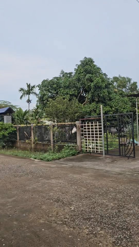 Nhà riêng Tân Xuân, Đồng Xoài, 175m² giá 1.4 tỷ - Sân đậu ô tô thoải mái!