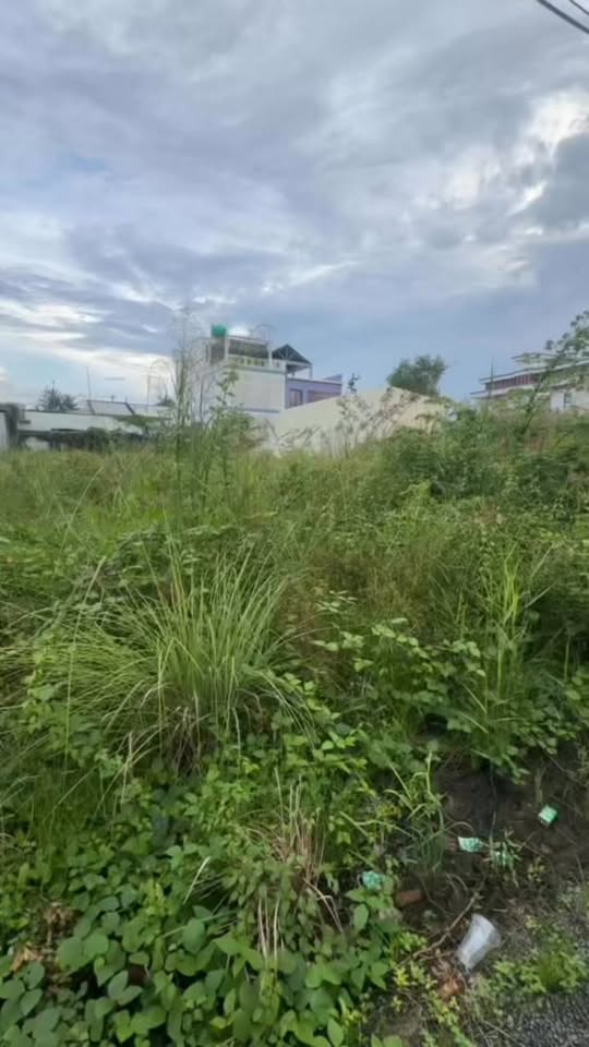 Đất nền Tân Mỹ Chánh 1.073m² giá 2.95 tỷ - Gần quốc lộ 50, hướng Bắc!