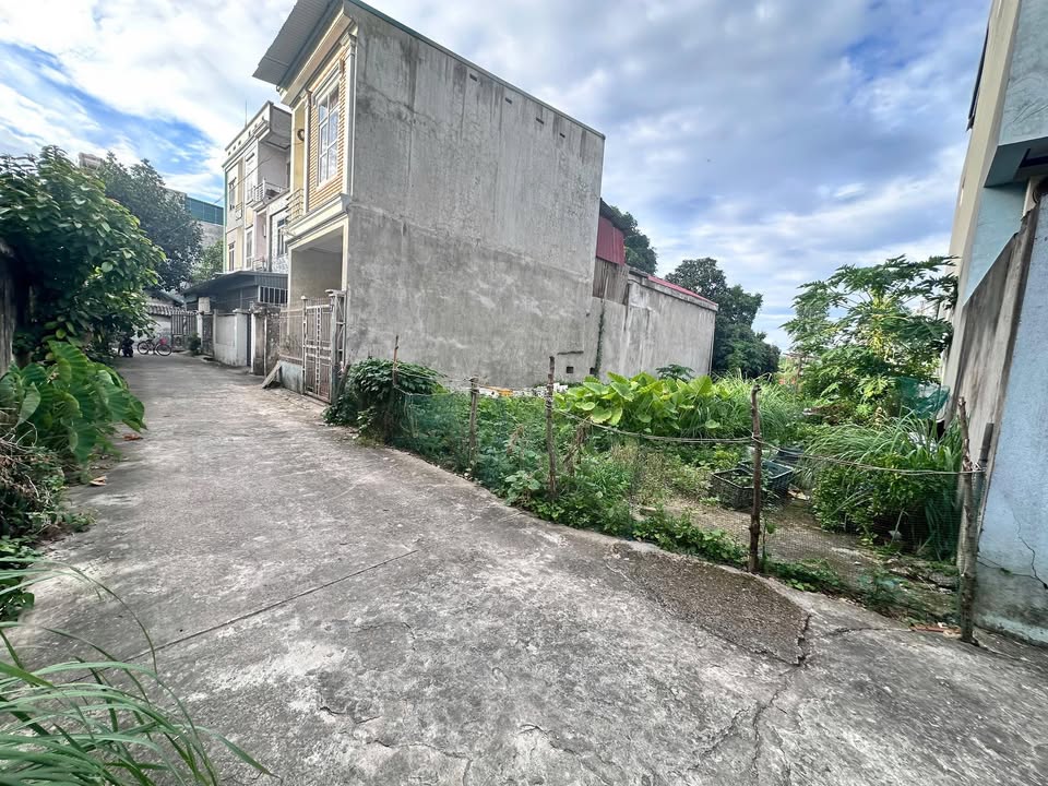 Đất nền Nông Trang Việt Trì 100m² giá 2.6 tỷ - Cơ hội đầu tư hấp dẫn!