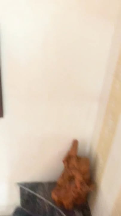 Biệt thự 2 tầng Vip Nam Hà, 250m² giá 4.9 tỷ - Gần BMC, tiện nghi đầy đủ!