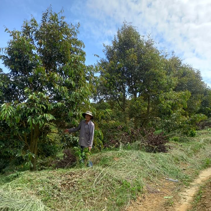 Đất thổ cư 1ha7 tại Liêng Srônh, Đam Rông - Giá chỉ 1.2 tỷ VND!