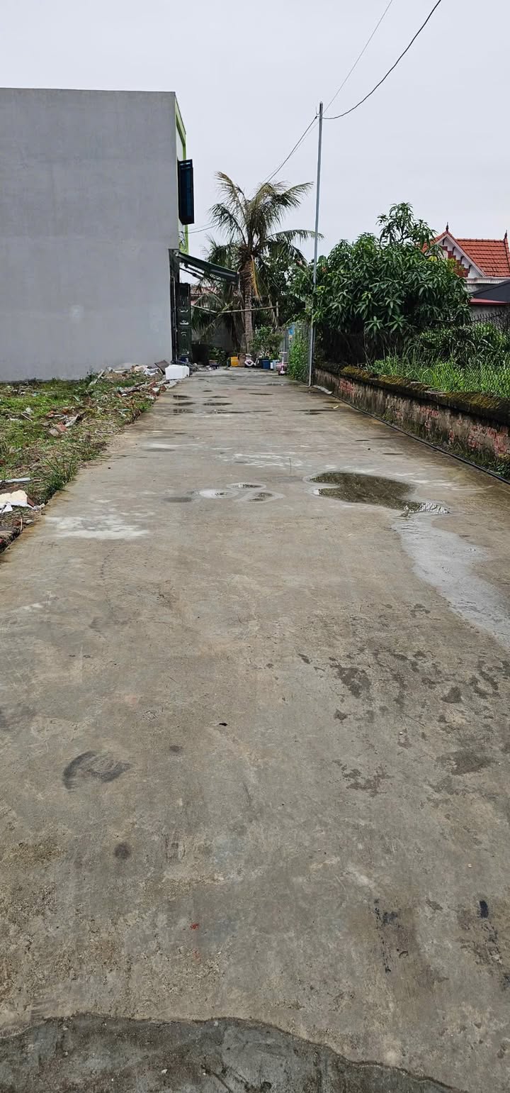 Đất nền 54,5m² tại Thượng Đức, Đồ Sơn - Vị trí đẹp, giá tốt!