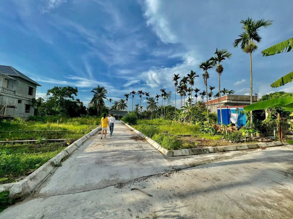 Đất nền Quang Hưng 64m² giá 520 triệu - Cơ hội đầu tư hấp dẫn!