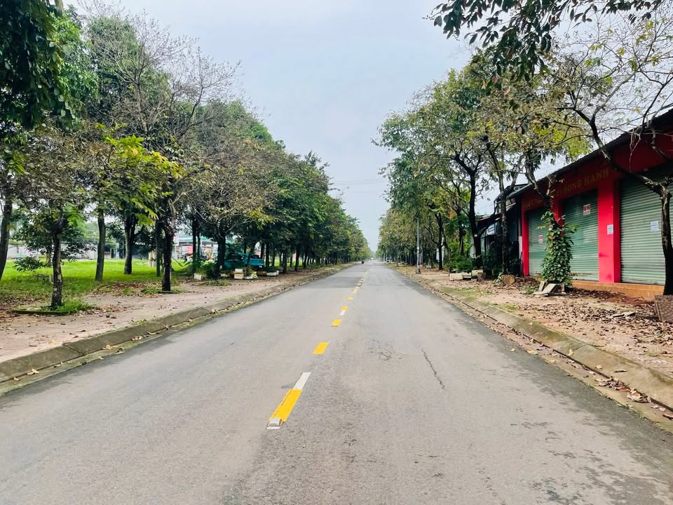 Đất nền thổ cư tại Gia Ray, 120m² giá chỉ 800 triệu - Đầu tư sinh lời bền vững!