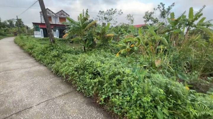 Đất nền Tuy Lộc Hậu Lộc 200m² giá chỉ 590 triệu - Cơ hội đầu tư tuyệt vời!