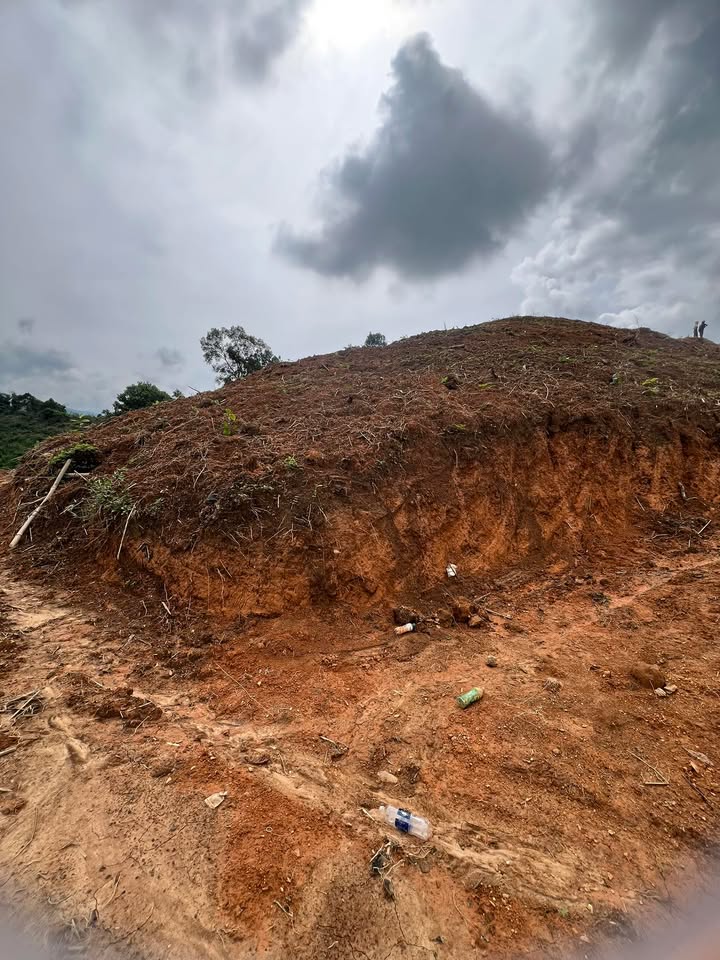 Đất nền Liêng Sronh Đam Rông 10.000m² giá 650 triệu - Đường bê tông 500m