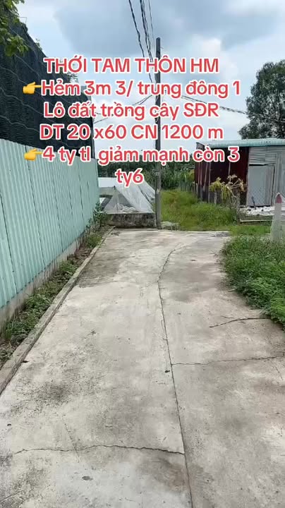 Đất thổ cư Hóc Môn 1200m² giá 3.6 tỷ - Sổ đỏ chính chủ!