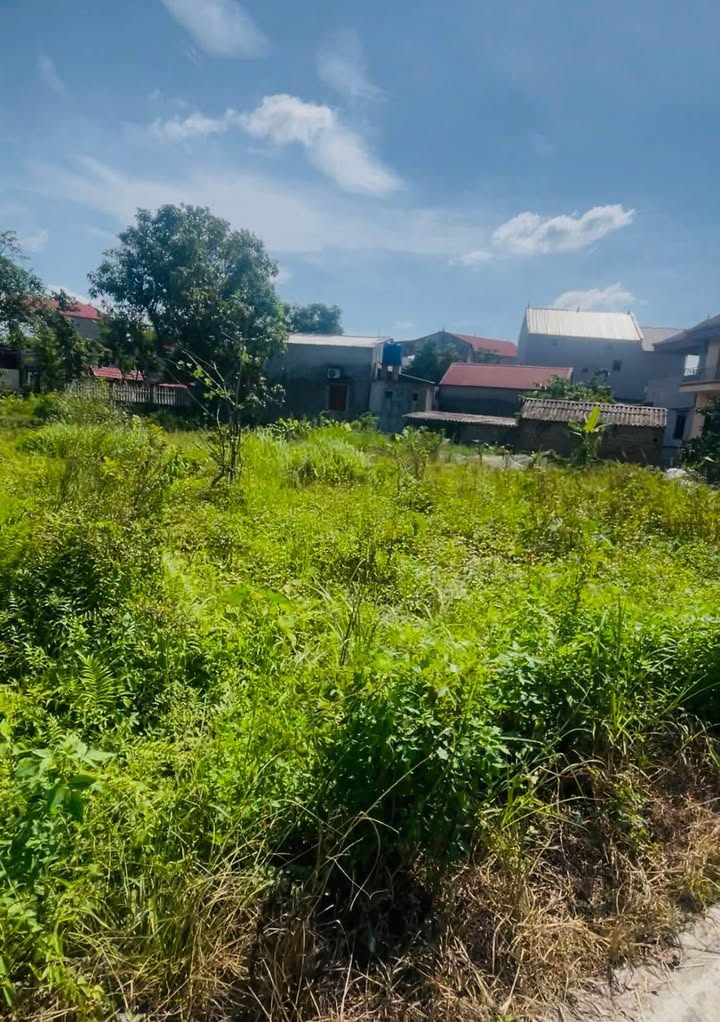 Đất Trạm Lộ - Thuận Thành 1206m², ô tô vào tận nơi - Giá chỉ 19 tỷ!