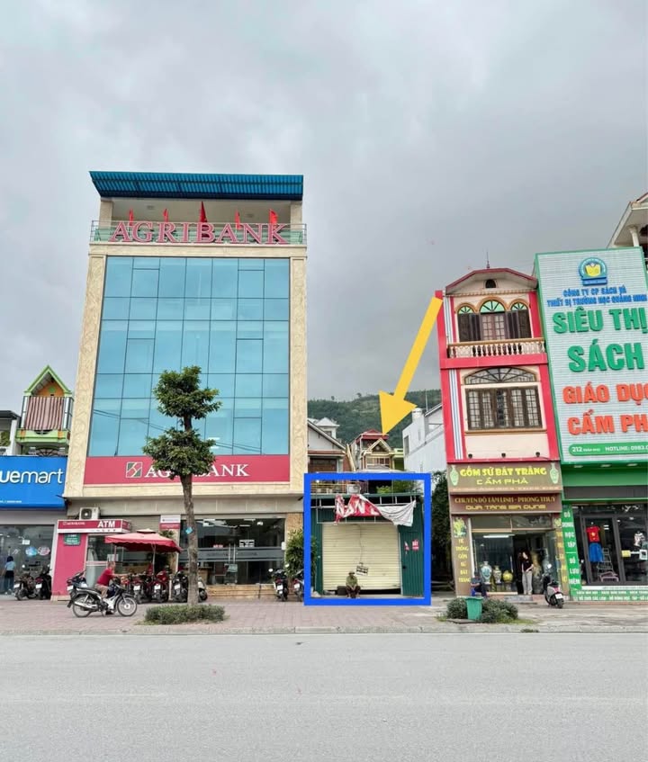 Đất ở đô thị Trần Phú Cẩm Phả 125m² giá 8 tỷ - Vị trí đắc địa trung tâm!