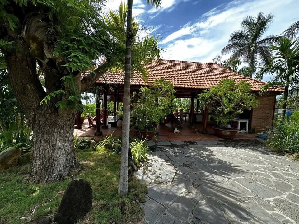 Nhà vườn cho thuê Phú Hải 1200m² chỉ 8 triệu - Không gian xanh lý tưởng!
