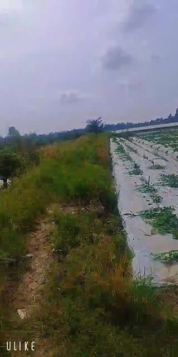 Bán đất đẹp ấp Định Hoà, xã Định Môn, Cần Thơ 5115m² - Vị trí đắc địa, thuận tiện kinh doanh