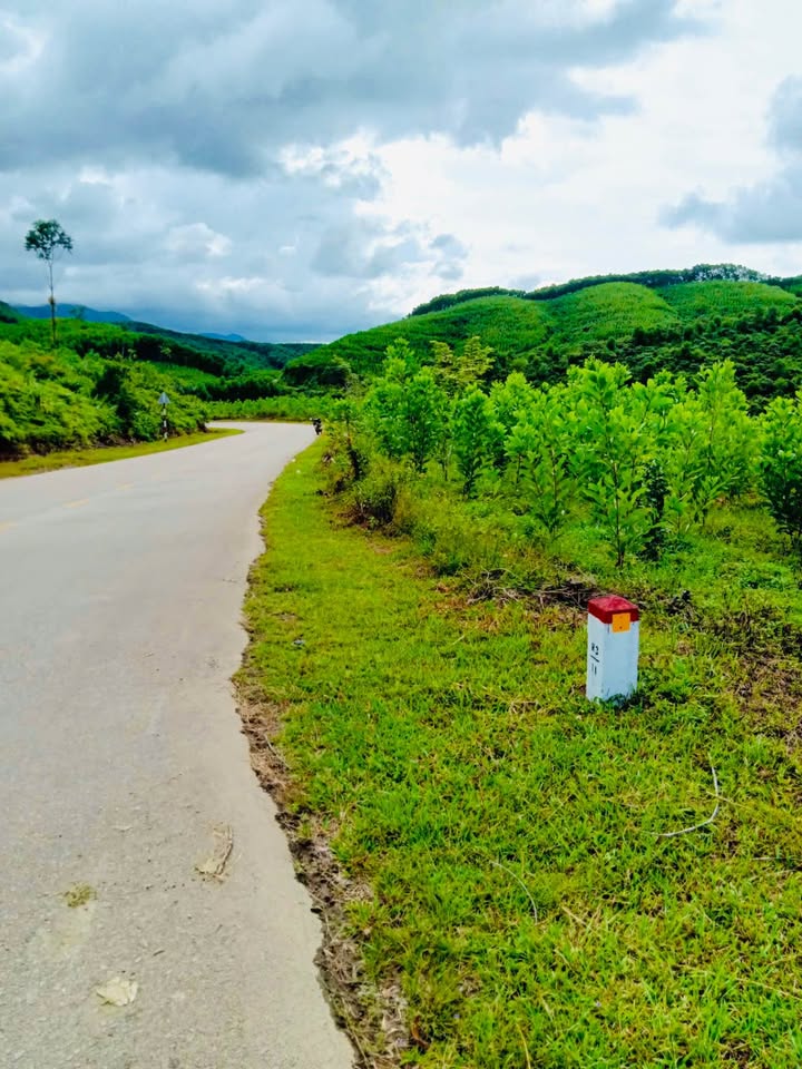 Đất nông nghiệp mặt tiền TL7 xã Phú Sơn 1136m² giá chỉ 300 triệu - Cơ hội đầu tư hấp dẫn!