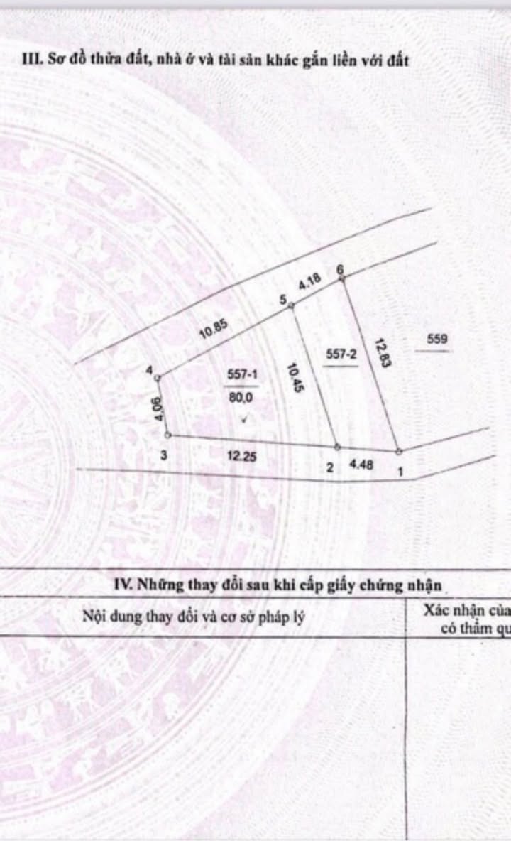 Đất nền Dương Nội 80m² giá 14 tỷ - Lô góc mặt hồ thoáng mát!