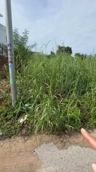 Đất nền Long Hải 154m² giá 2 tỷ - Cơ hội đầu tư tuyệt vời!