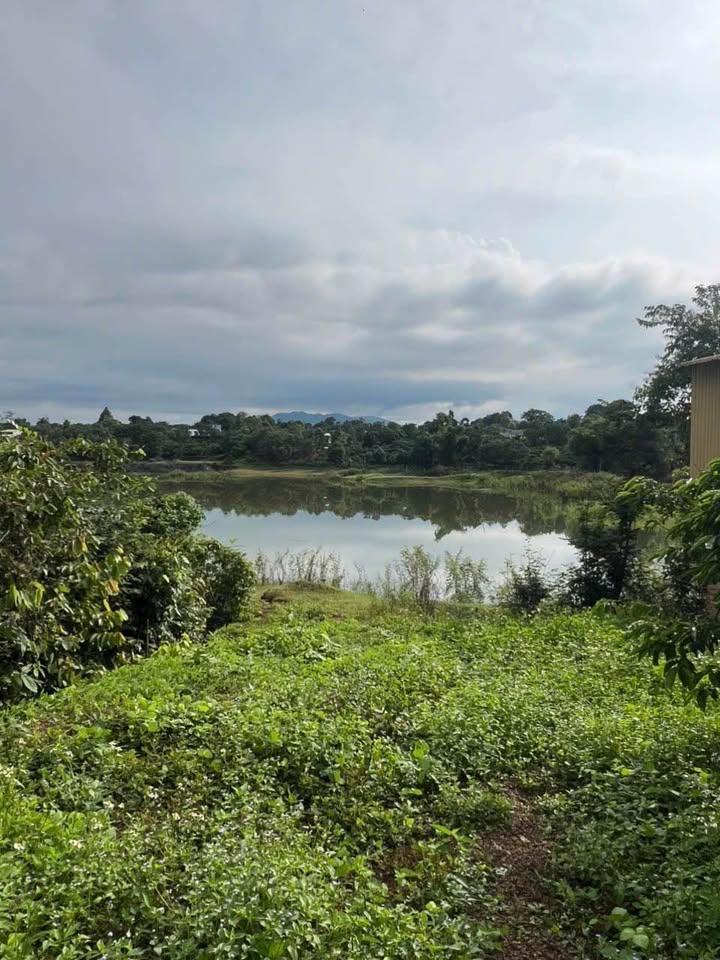 Đất nông nghiệp xã Ia Tô, Ia Grai 10.835m² giá 2.2 tỷ - Khu dân cư đông đúc!