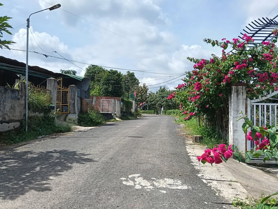 Đất mặt đường nhựa xã Krông Nô 1100m² giá 1.899 tỷ - Cơ hội đầu tư tuyệt vời!