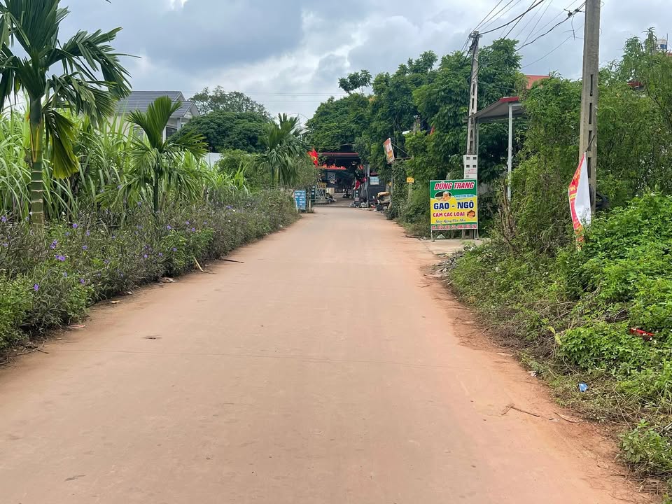 Đất nền Hương Lạc Lạng Giang 100m² giá chỉ 1.4 tỷ - Cơ hội đầu tư hấp dẫn!