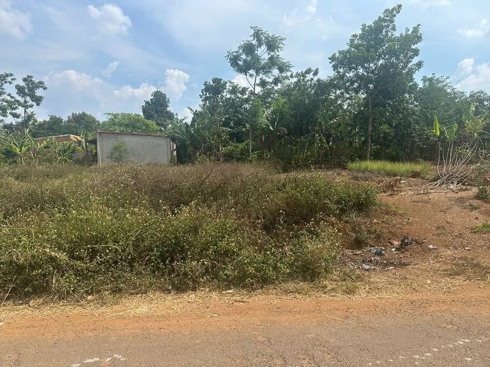 Đất nền Ea Tiêu Cư Kuin 210m² giá 670 triệu - Đường nhựa thuận tiện, vị trí đẹp!