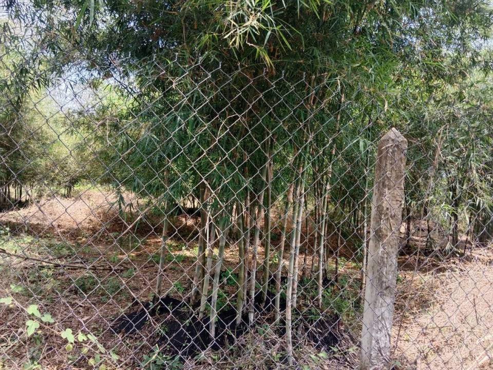 Đất Suối Đá DMC 2730m² giá 400 triệu - Cơ hội đầu tư tuyệt vời!