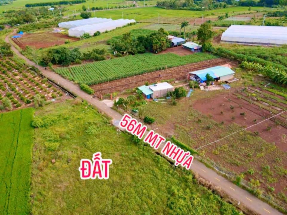 Đất nền Long Tân Nhơn Trạch 360m² giá 970 triệu - Mặt tiền đường nhựa rộng rãi!