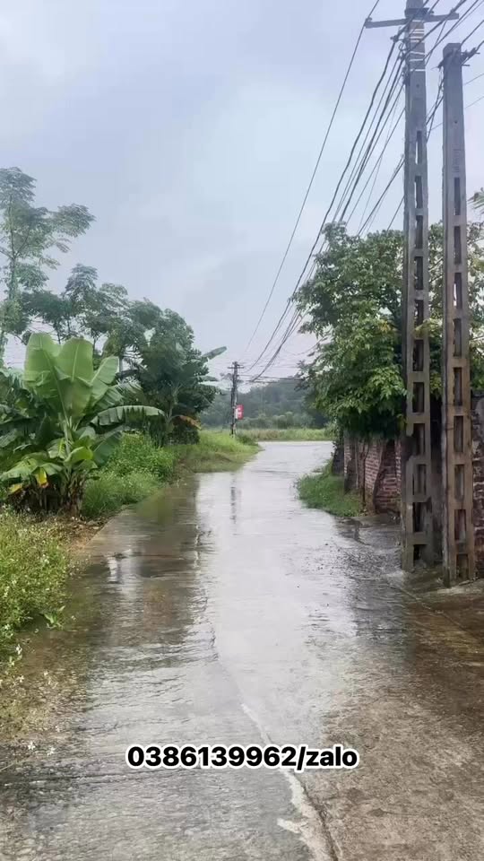 Đất thổ cư 160m² tại Phú Thọ, giá 1.6 tỷ - Cơ hội đầu tư tuyệt vời!