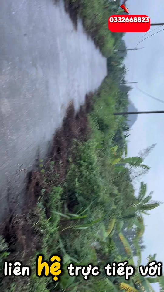 Đất Ninh Tiến, Hoa Lư 95m² - Hướng Nam, Đường 7m - Giá Thương Lượng Chính Chủ!