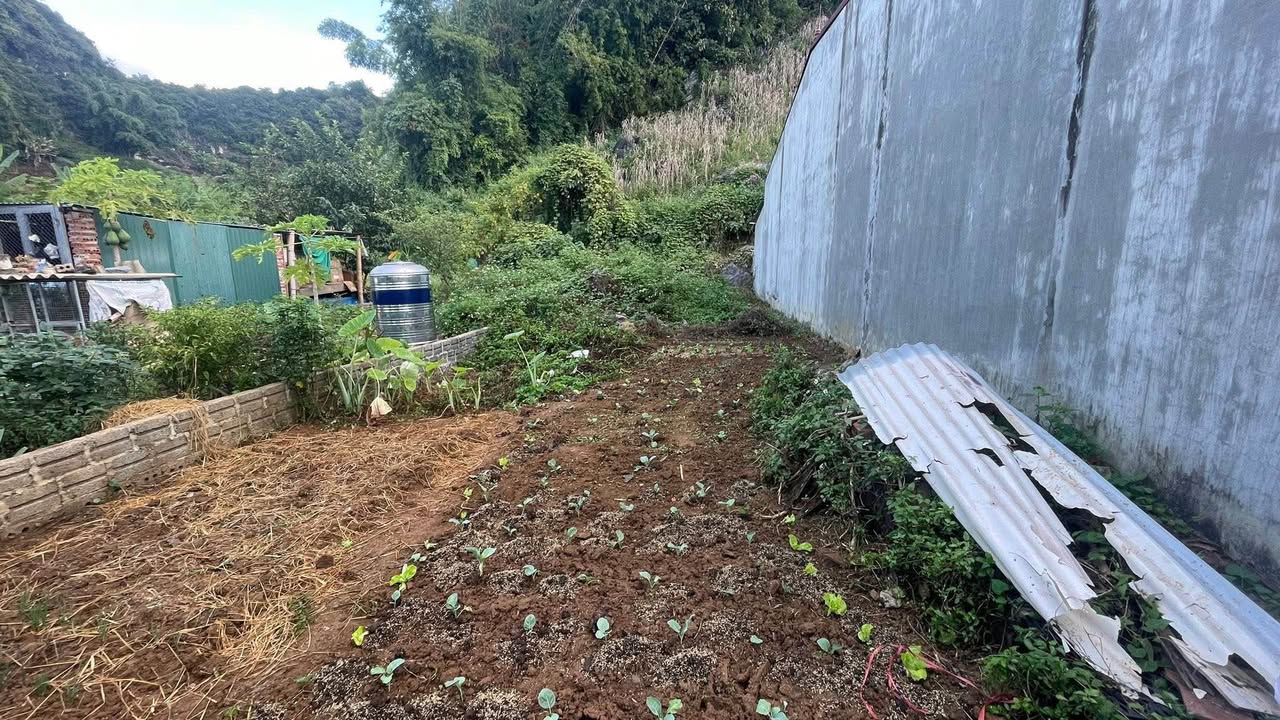 Đất vườn Chiềng Cơi 100m² giá 230 triệu - Đường ô tô vào tận nơi!