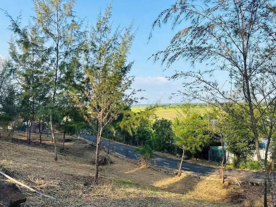 Bán Đất Farm Triền Đồi Láng Dài 4300m² giá 10 tỷ - Tiềm năng đầu tư lớn!