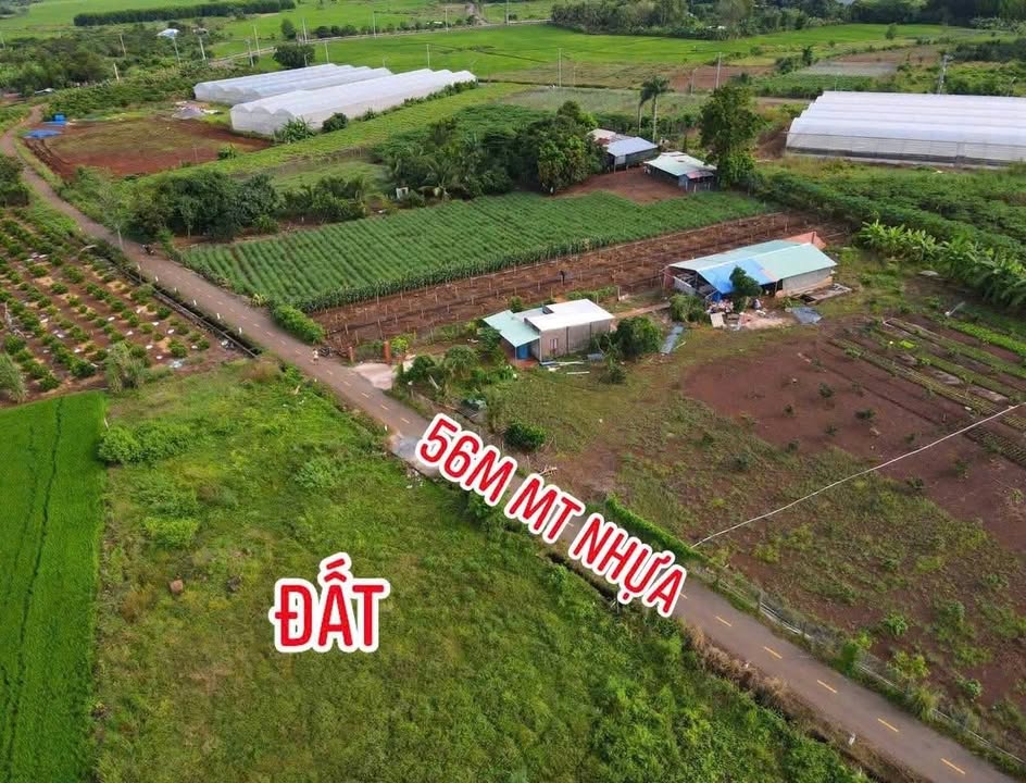 Đất nền 1000m² xã Long Tân, giá chỉ 970 triệu - Cơ hội đầu tư tuyệt vời!