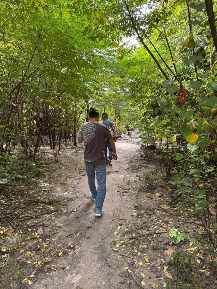 Đất 1 Mẫu Sông Xoài Phú Mỹ 10.000m² giá 30 tỷ - Sổ hồng chính chủ