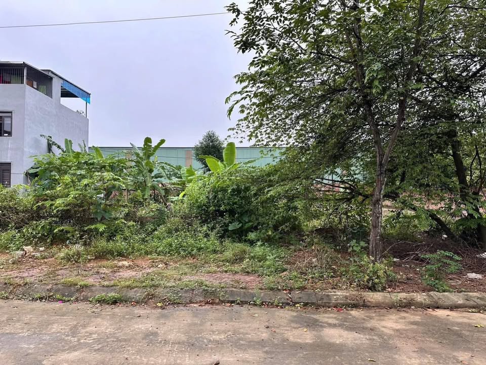 Đất nền Vân Cơ, Việt Trì 90m² giá 3 tỷ - Cơ hội đầu tư sinh lời cao!