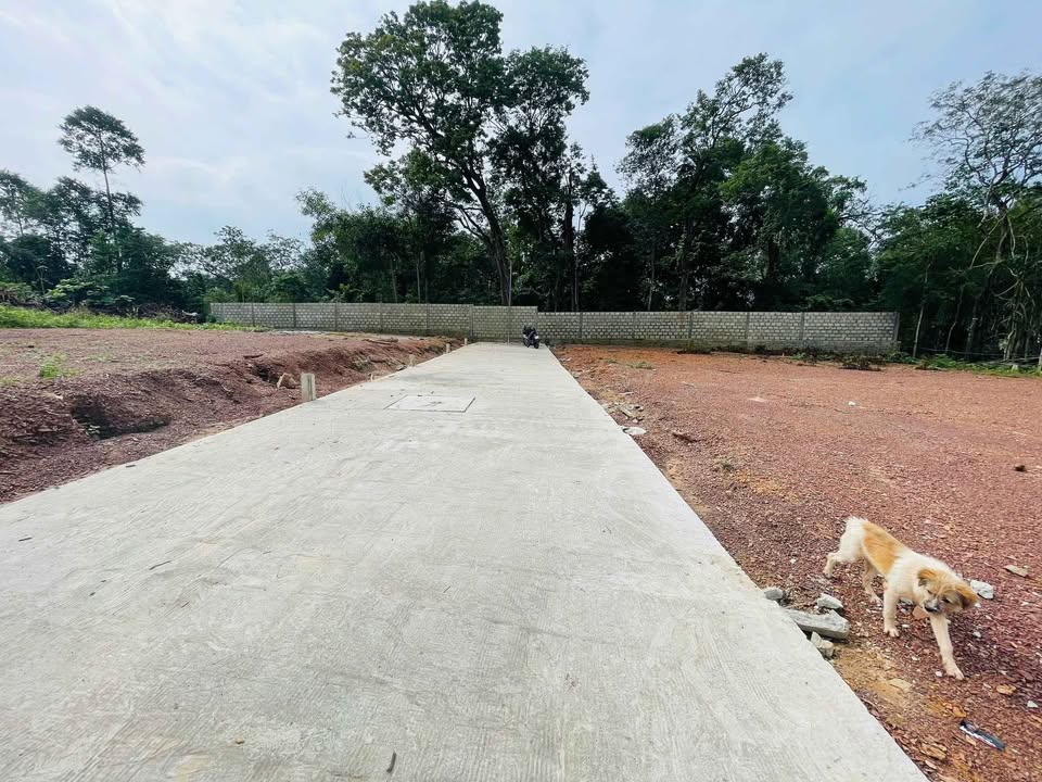 Đất kiệt ô tô Vũ Ngọc Phan, Thủy Xuân, 103m² giá 1 tỷ - Vị trí đẹp, giao thông thuận tiện!