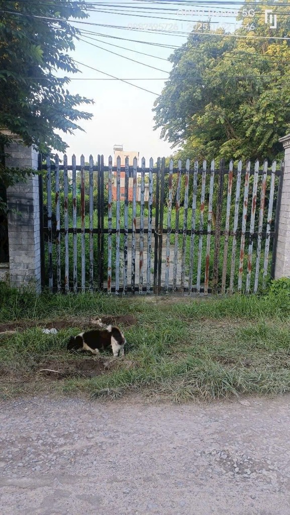 Đất nền 875m² đường 112, Tân Thạnh Đông, Củ Chi - Vị trí đẹp, giá chỉ 5.5 tỷ!