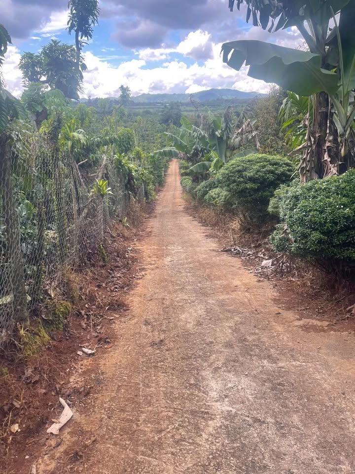 Đất nền Lộc An Bảo Lâm 19.000m² giá 12.5 tỷ - Pháp lý rõ ràng, thương lượng ngay!