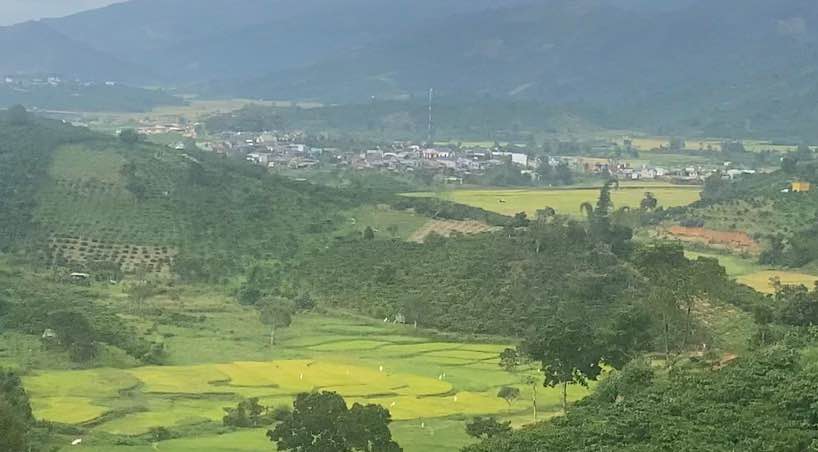 Đất nông nghiệp 6 sào tại Bảo Thuận, Di Linh - Giá chỉ 180 triệu/sào, cơ hội đầu tư tốt!