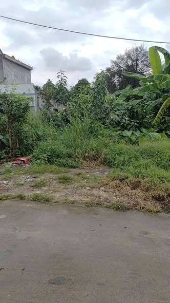 Đất nền Bình Nhâm 31, Thuận An 90m² giá 2.59 tỷ - Đầu tư sinh lời ngay!