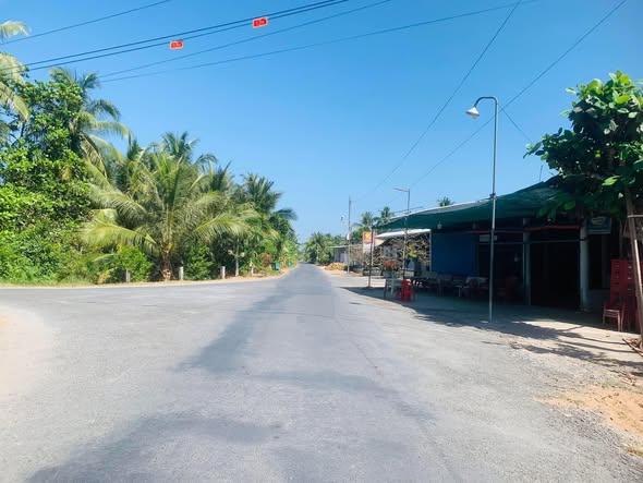 Đất vườn 1.8 công đường Tỉnh 907, Vĩnh Long - Đang cho trái, giá chỉ 1.54 tỷ!