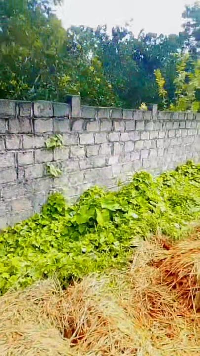 Đất nền Cao Dương Lương Sơn 1000m² giá chỉ 2 triệu/m² - Cơ hội đầu tư hấp dẫn!