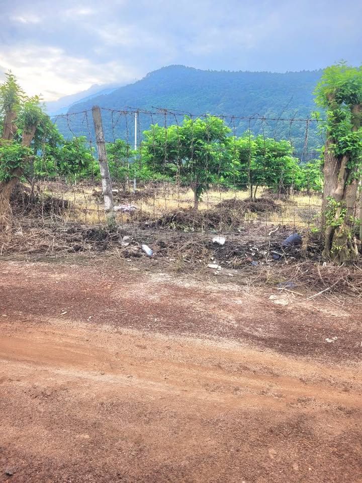 Đất thổ cư Phường Bình Minh 149m² giá 300 triệu - View núi tuyệt đẹp!