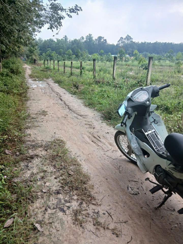 Đất Farm Bàu Tràm Lớn, Tiên Thuận 15.000m² giá 2.35 tỷ - Sổ hồng chính chủ!