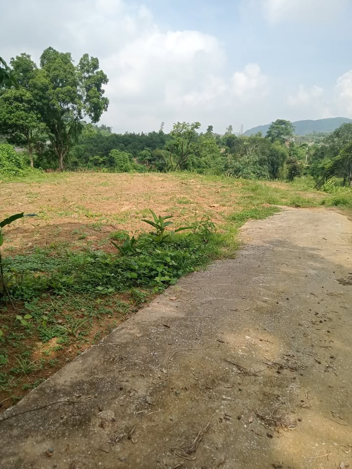 Đất vườn 180m² xã Yên Xuân, Thạch Thất - Giá 1 tỷ, chính chủ bán gấp!