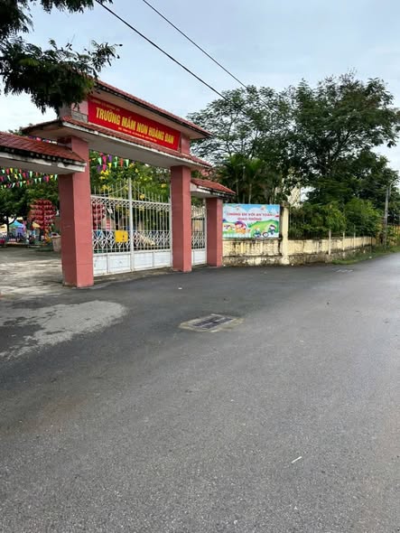 Đất nền kinh doanh tại xã Hoàng Đan, huyện Tam Dương 100m² giá 1.4 tỷ - Cơ hội đầu tư hấp dẫn!