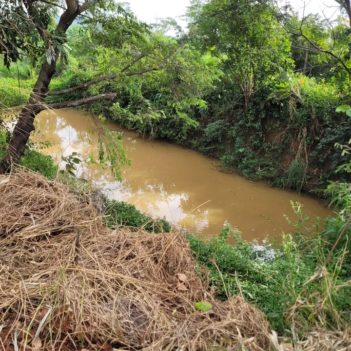 Đất nền 2000m² tại Ia Grai - Giá chỉ 550 triệu, cơ hội đầu tư tuyệt vời!