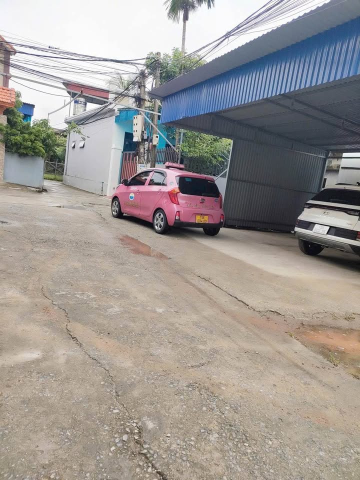 Đất nền Thủy Đường, Thủy Nguyên 50m² giá chỉ 1 tỷ - Cơ hội đầu tư sinh lời cao!