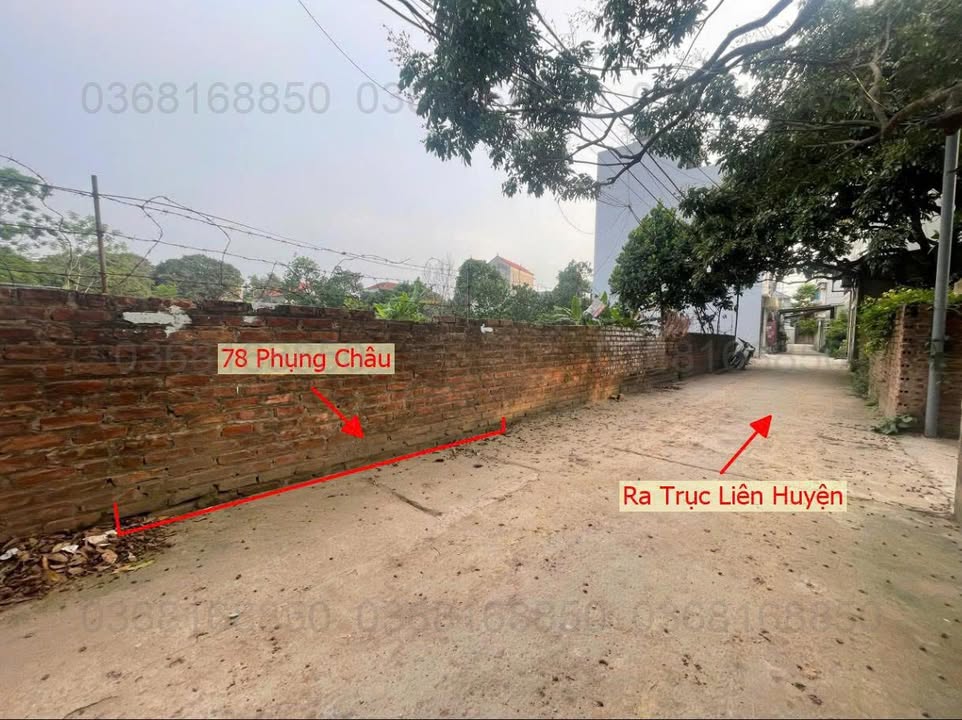 Đất nền Phụng Châu 78m² giá 3 tỷ - Bán gấp chính chủ!