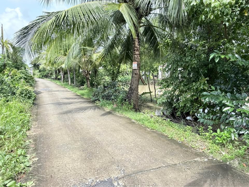 Đất vườn Lý Văn Lâm, Cà Mau 1296m² - Mặt tiền kênh Huế, giá hợp lý!