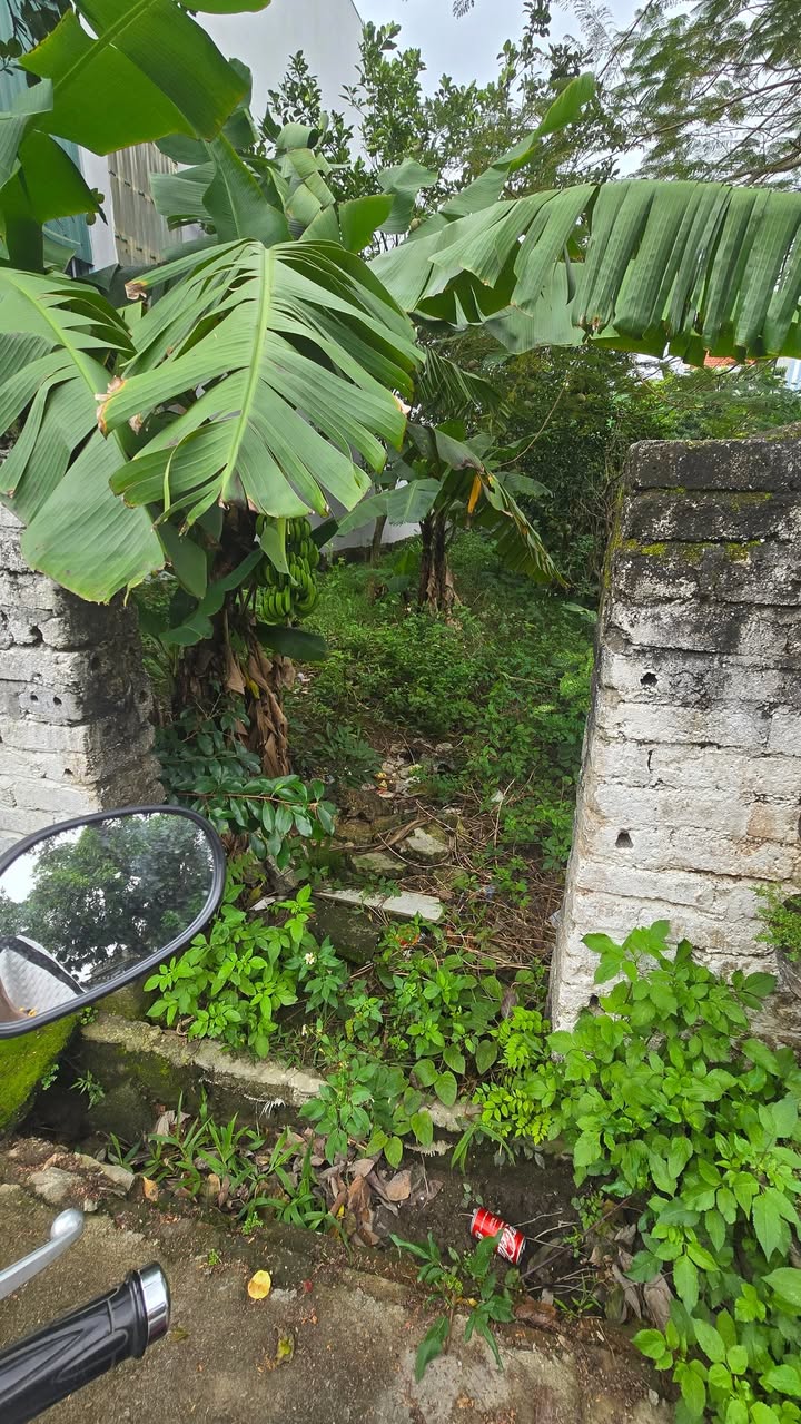 Đất ở Ninh Khang, Hoa Lư 119m² giá 4 tỷ - Đầu tư sinh lời ngay!