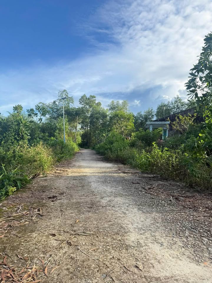 Đất nền Quế Phú, Quế Sơn 186m² giá 200 triệu - Cơ hội đầu tư tuyệt vời!