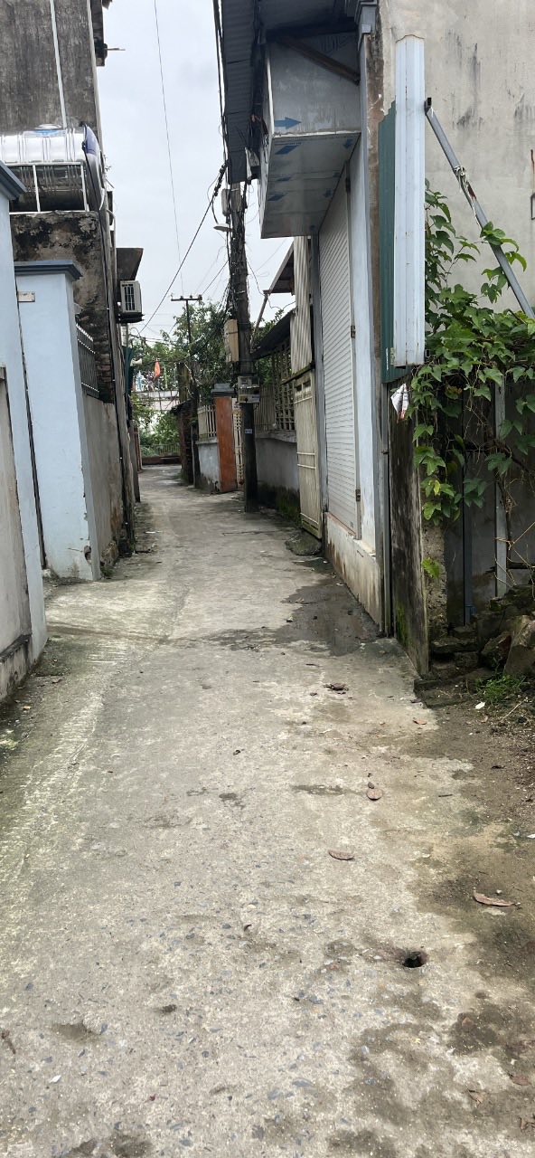 Đất nền Hoàng Xá, Thường Tín 46.6m² giá 3.3 tỷ - Ngõ thông ô tô thuận tiện